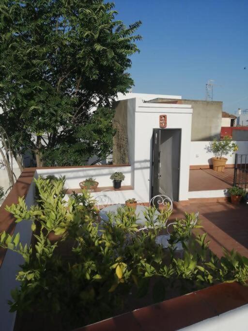 Apartamento El Sosiego Санлукар-де-Баррамеда Экстерьер фото