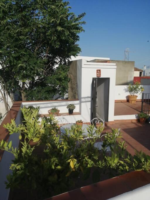 Apartamento El Sosiego Санлукар-де-Баррамеда Экстерьер фото